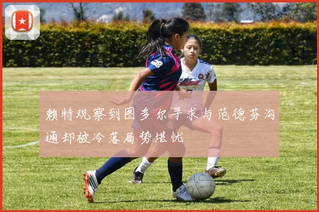 赖特观察到图多尔寻求与范德芬沟通却被冷落局势堪忧