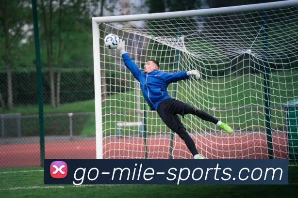 App Interface Preview