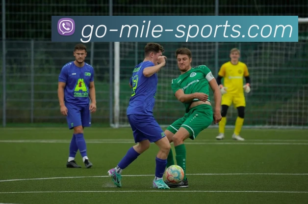 米乐体育APP 封面图